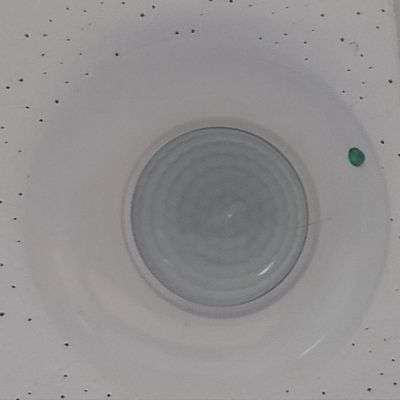 Untitled design (19)