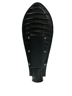 DSC01169-removebg-preview